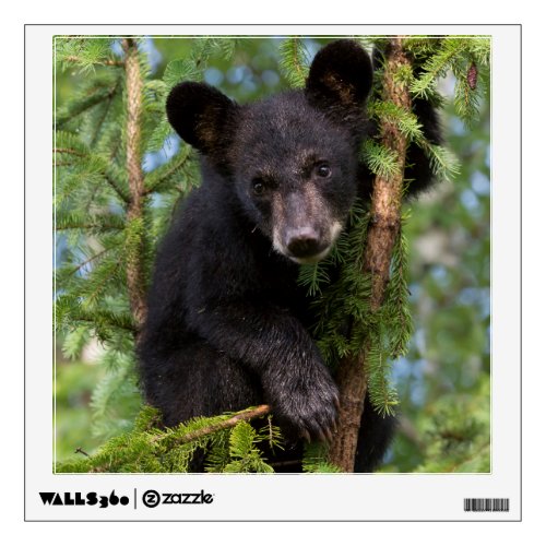 Black Bear Cub Playing in Trees Wall Decal