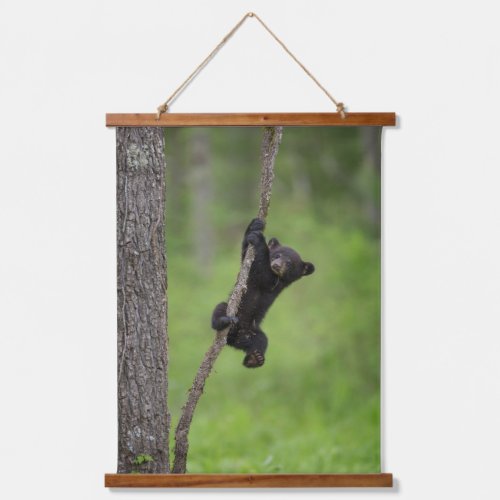 Black Bear Cub playing on Tree Limb Hanging Tapestry