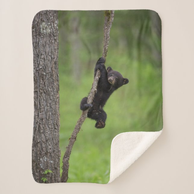 Black Bear Cub playing on Tree Limb Sherpa Blanket (Front)