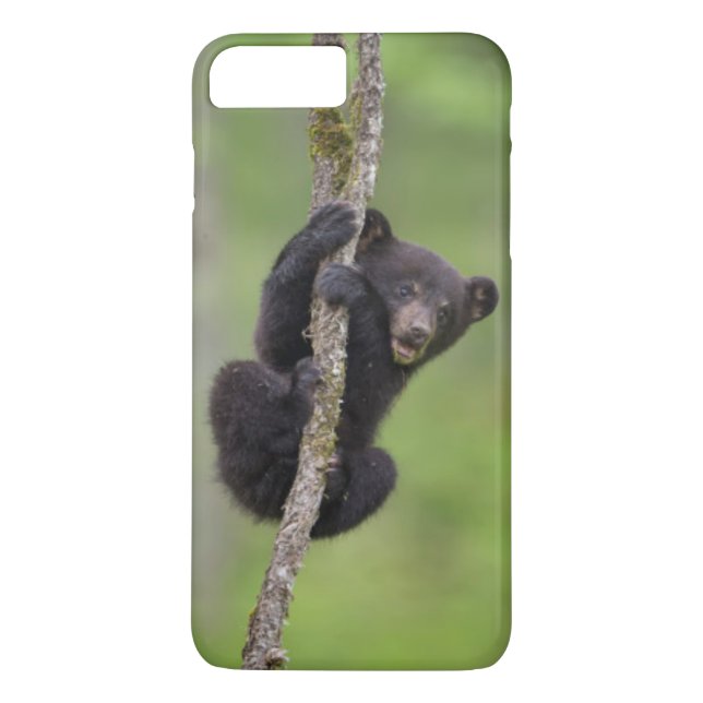 Black bear cub playing, Tennessee Case-Mate iPhone Case (Back)