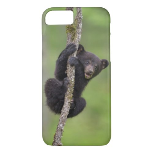 Black bear cub playing Tennessee iPhone 87 Case