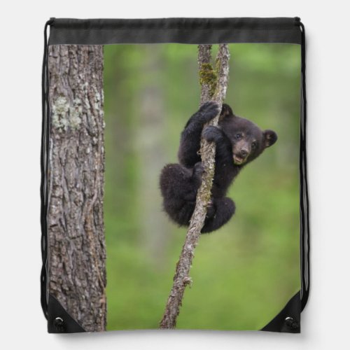 Black bear cub playing Tennessee Drawstring Bag