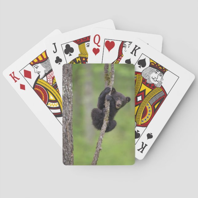Black bear cub playing, Tennessee Poker Cards (Back)
