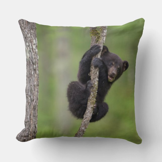 Black bear cub playing, Tennessee Throw Pillow (Front)