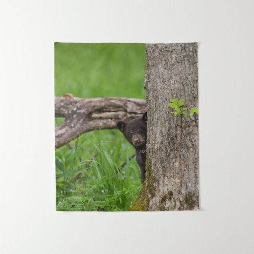 Black Bear Cub  Smoky Mountains Tapestry