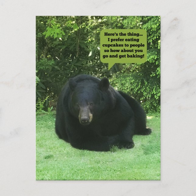 Black Bear - "Cubby Cupcake" Postcard (Front)
