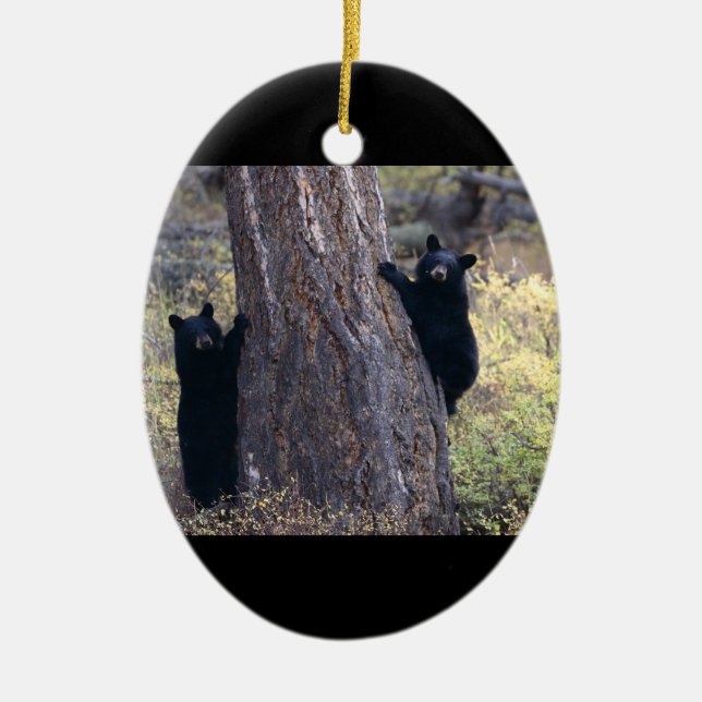 black bear cubs ceramic ornament (Front)