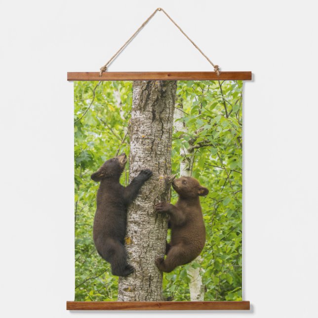 Black Bear Cubs Climbing Tree Hanging Tapestry (Front)
