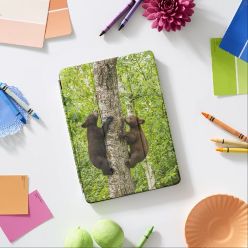 Black Bear Cubs Climbing Tree iPad Air Cover