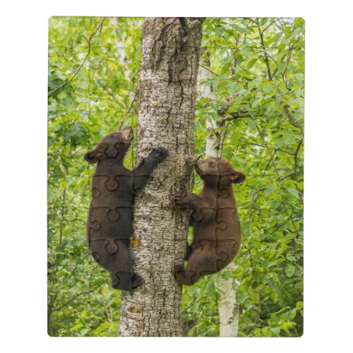 Black Bear Cubs Climbing Tree Jigsaw Puzzle