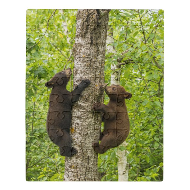 Black Bear Cubs Climbing Tree Jigsaw Puzzle (Puzzle Vertical)