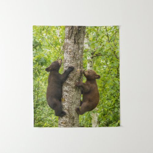 Black Bear Cubs Climbing Tree Tapestry