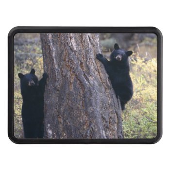 Black Bear Cubs Hitch Cover by WorldDesign at Zazzle