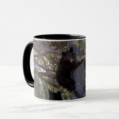 Black Bear Cubs in Tree Big Bend National Park Mug