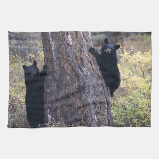 black bear cubs kitchen towel (Horizontal)