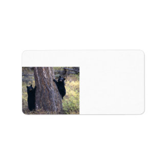 black bear cubs label