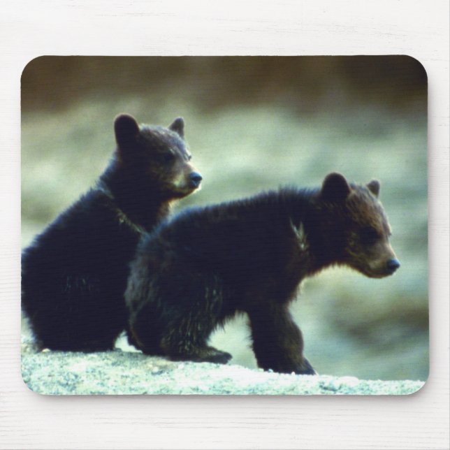Black Bear cubs Mouse Pad (Front)