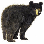 Black Bear Cutout<br><div class="desc">The cute 3D keychain shows a standing black bear</div>