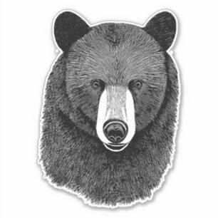 Black Bear Face original Animal art drawing Sticker