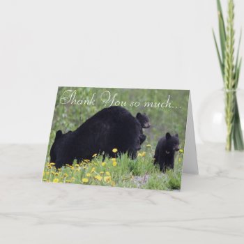 Black Bear Family Wildlife  Thank You Card by RavenSpiritPrints at Zazzle