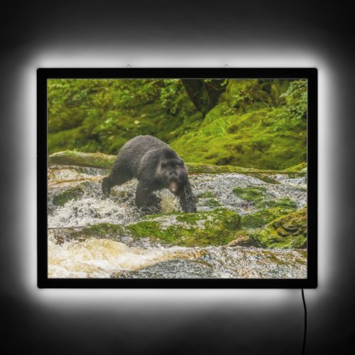 Black Bear Fishing  Qua Creek British Columbia LED Sign
