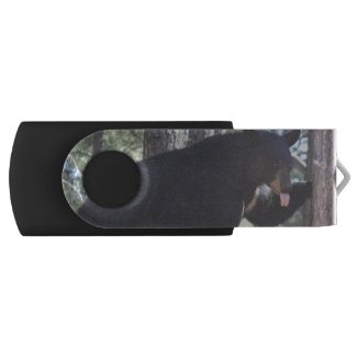 Black Bear Flash Drive