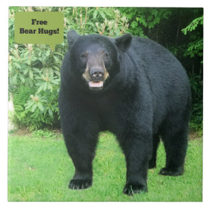 Black Bear - "Free Bear Hugs-Cubby the Black Bear" Ceramic Tile