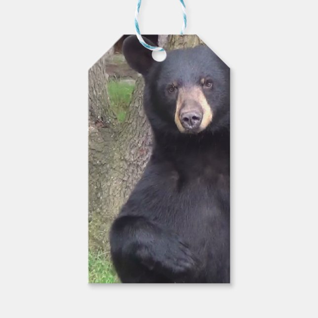 Black Bear Gift Tags (Front)