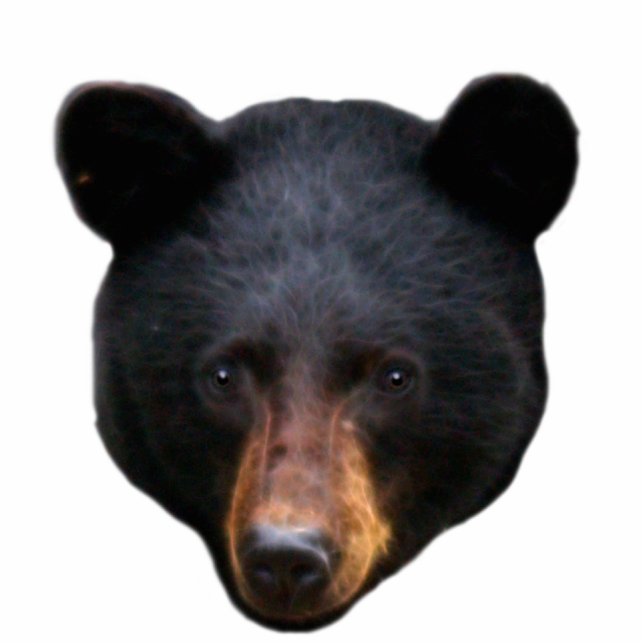 BLACK BEAR Head Sculpted Wildlife Art Gift Cutout (Front)