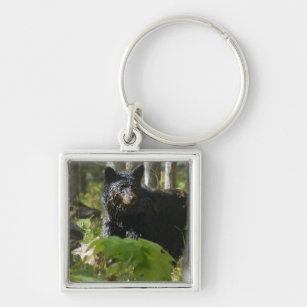 Black Bear Hiding in Forest Wildlife Photo Keychain