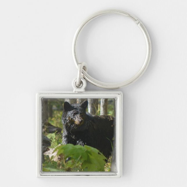 Black Bear Hiding in Forest Wildlife Photo Keychain (Front)