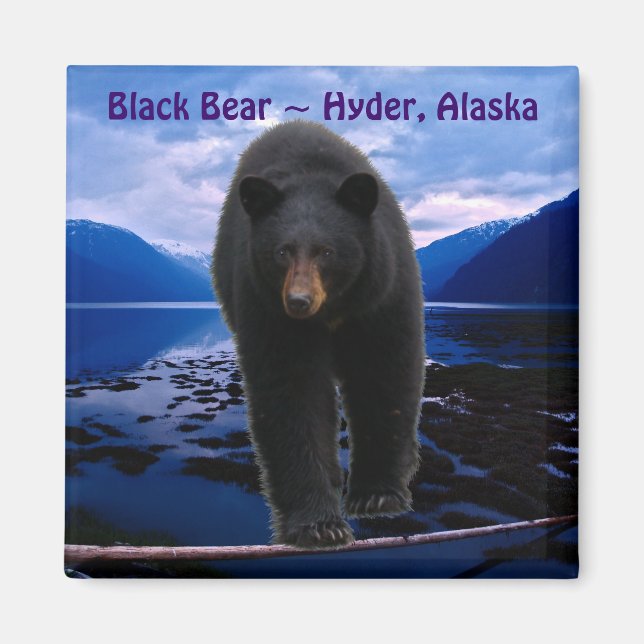 BLACK BEAR Hyder, Alaska Wildlife Magnet (Front)