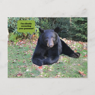 Black Bear -"I'm silently correcting your grammar" Postcard