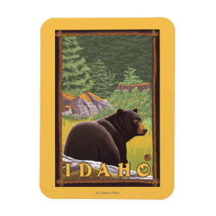 Black Bear in Forest - Idaho Magnet