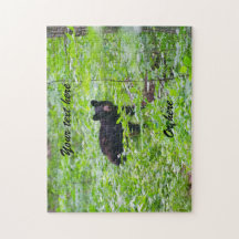 Black Bear in forest