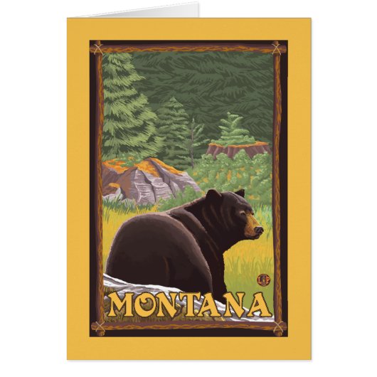 Black Bear in Forest - Montana (Front)