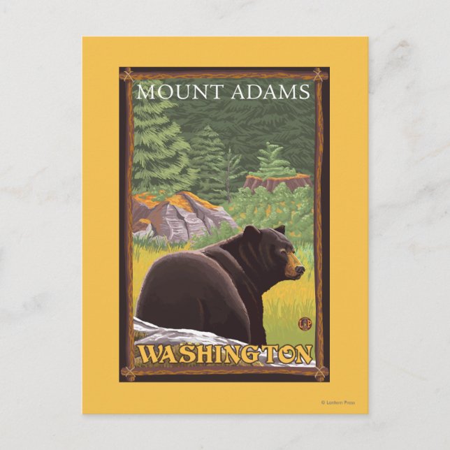 Black Bear in Forest - Mount Adams, Washington Postcard (Front)