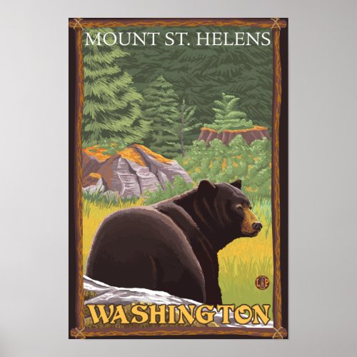 Black Bear in Forest _ Mount St Helens WA Poster