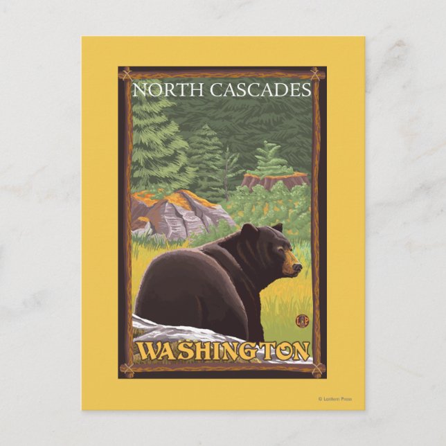 Black Bear in Forest - North Cascades, Washingto Postcard (Front)