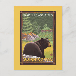 Black Bear in Forest - North Cascades, Washingto Postcard