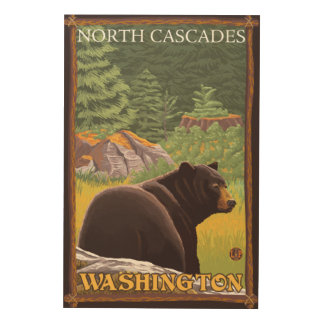 Black Bear in Forest - North Cascades, Washingto Wood Wall Decor
