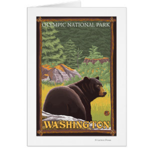 Black Bear in Forest - Olympic Nat'l Park, WA Cards