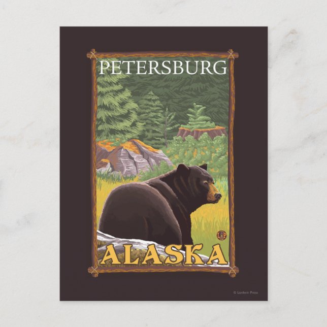 Black Bear in Forest - Petersburg, Alaska Postcard (Front)