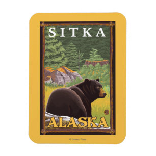 Black Bear in Forest - Sitka, Alaska Magnet