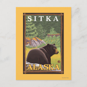 Black Bear in Forest - Sitka, Alaska Postcard
