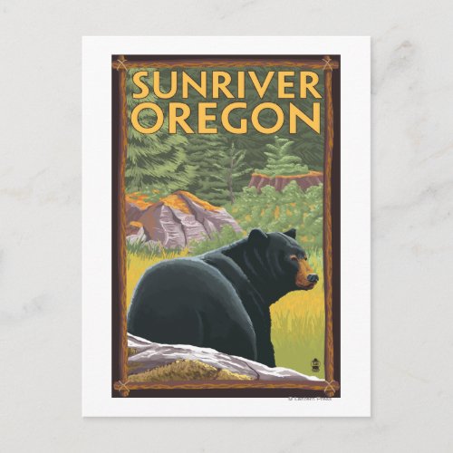 Black Bear in Forest _ Sun River Oregon Postcard
