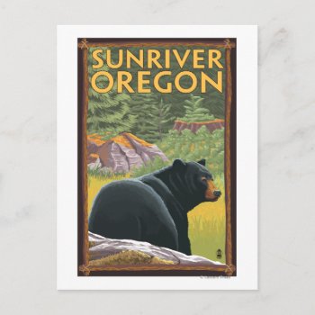 Black Bear In Forest - Sun River  Oregon Postcard by LanternPress at Zazzle