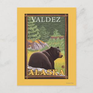 Black Bear in Forest - Valdez, Alaska Postcard