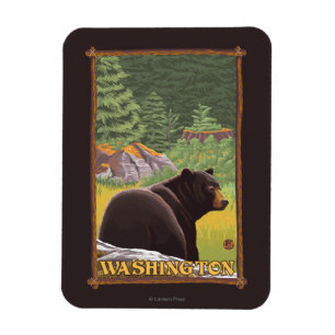 Black Bear in Forest - Washington Magnet