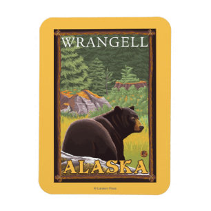 Black Bear in Forest - Wrangell, Alaska Magnet